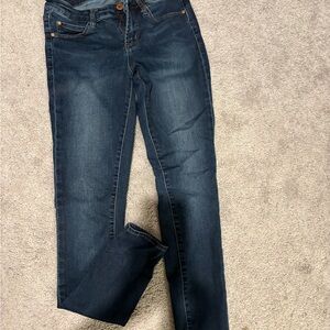 Articles of Society Jeans